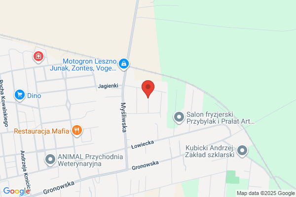 Kurpisz Andrzej. Ukladanie parkietu, cyklinowanie