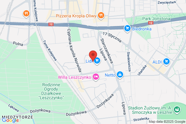 Miejski Zaklad Zieleni. Budowa i konserwacja terenów zieleni