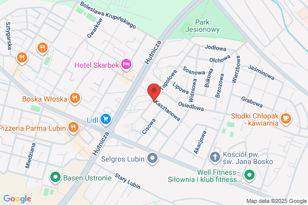 Flos. S.j. Apteka leków gotowych