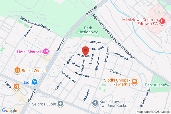 Wir. Zaklad uslugowo - projektowy