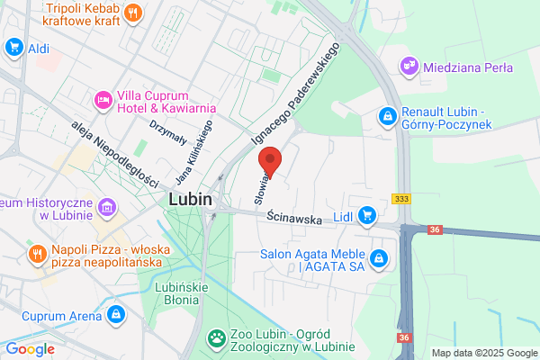 Geomap. Uslugi geodezyjne i kartograficzne. Cierlik A.