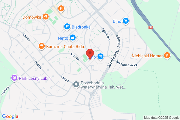 Geometr. Bem L., mgr inz.