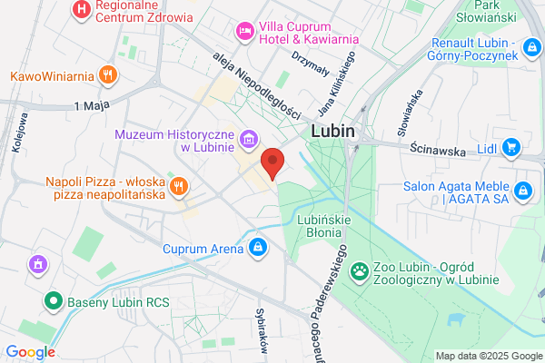 Lingua Viva. Kursy jezyków obcych