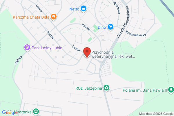Rosolska Aneta, lek. stomatolog