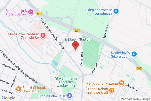 Lesnictwo Malomice. Nadlesnictwo Lubin