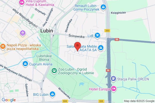 Stolarz. Meble na wymiar do biura i domu. Grzelinski P.