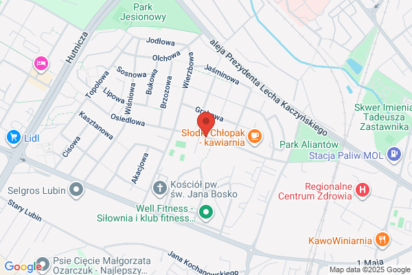 Piast. Spóldzielnia Uslugowa w Legnicy. Oddzial