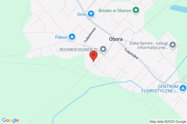 Wachowiak Elzbieta. Okna