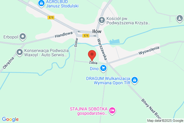 Moje Mazowsze. Omelianiuk J.