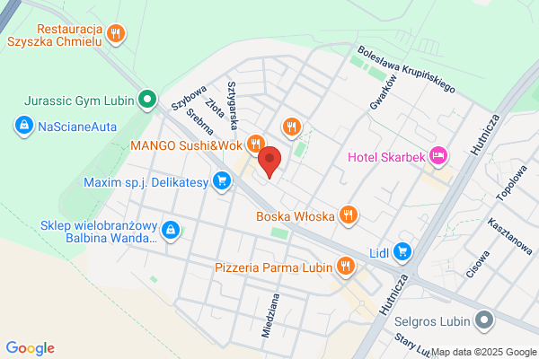 Net-Zone SC. Komputery i sieci komputerowe, kawiarnia internetowa. Wróblewski S. Czarniecki J.