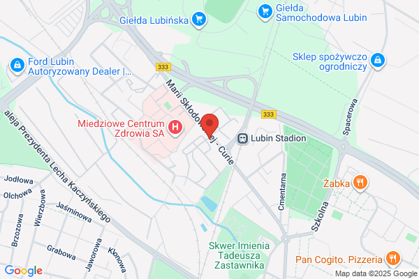 Polska Miedz. Redakcja