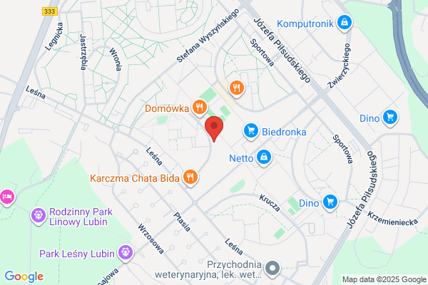 Salon gier Zjednoczonych Przedsiebiorstw Rozrywkowych SA. Warszawa