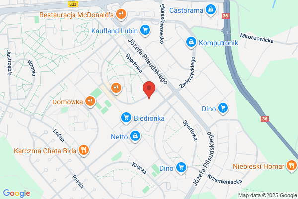Sypien. Czyszczenie dywanów, dezynfekcja, dezynsekcja
