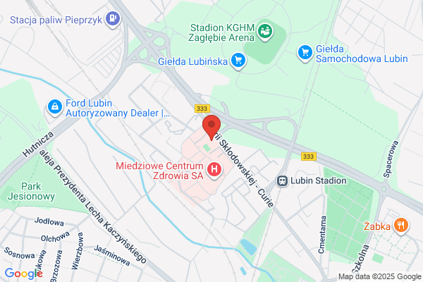 Szkola Policealna Pracowników Socjalnych Sluzb Spolecznych