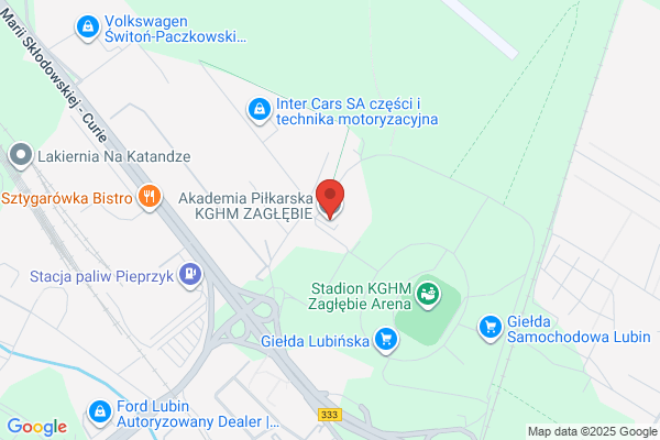 Zaglebie. Miedzyzakladowy Klub Sportowy