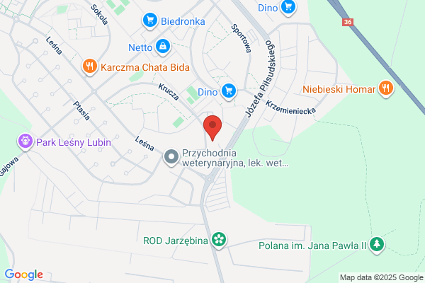Pod Lipa. Pijalnia piwa