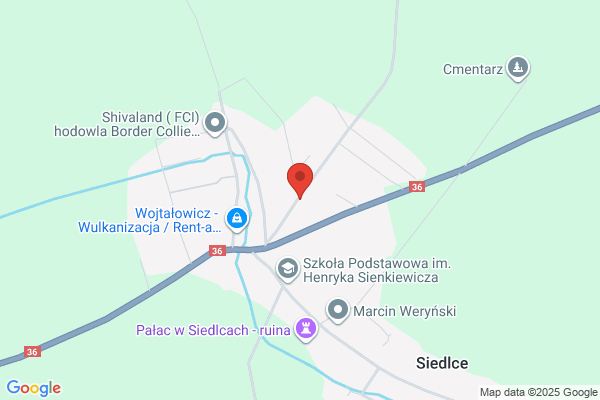 Auto Matiasz. Mechanika pojazdowa. Matys D.