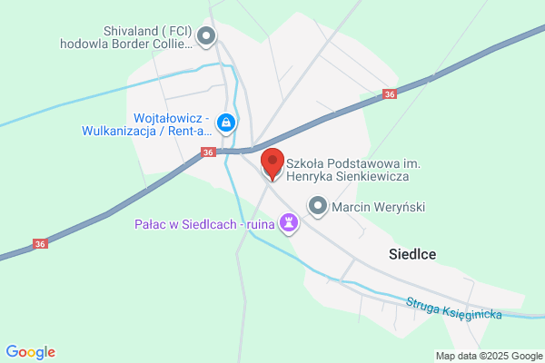 Szkola Podstawowa im. H. Sienkiewicza