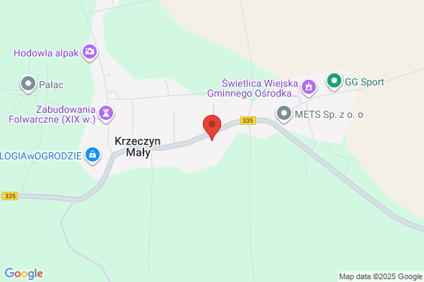 Rupniak Jan. Transport krajowy, miedzynarodowy, wulkanizacja