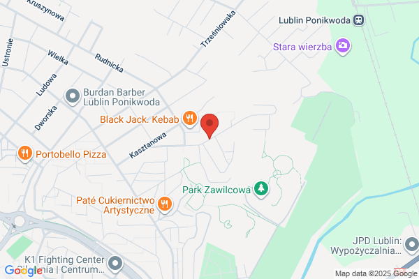 Sliwinski Andrzej. Uslugi geodezyjne