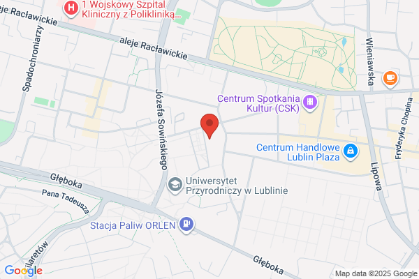 Lubman UMCS. Sp. z o.o. Internet, hosting i domeny