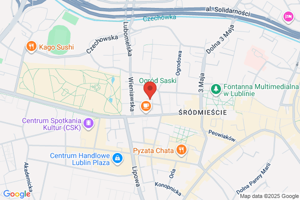 Api. Artystyczna pracownia introligatorstwa. Lisek J.