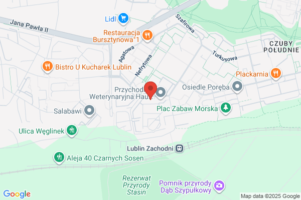 Brittanic. Szkola Jezyków Obcych