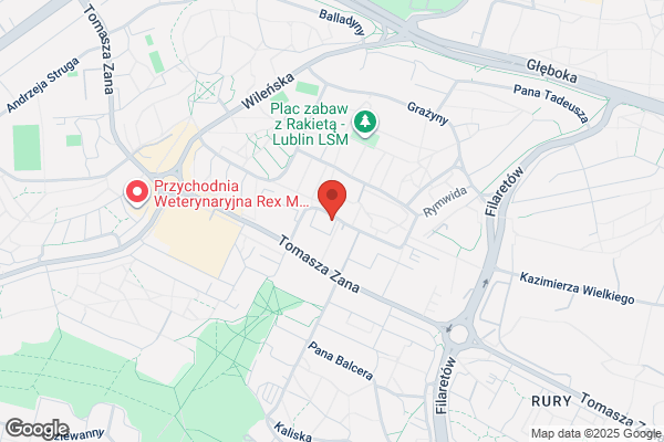 Goethe-Zentrum Lublin. Dethloff Deutschschule. Partner Goethe-Institut