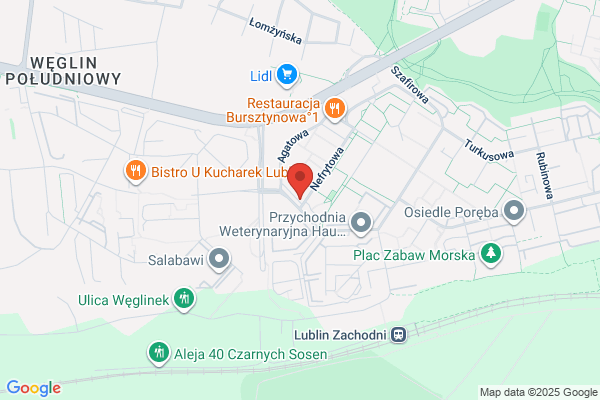 Zyszkiewicz Eliza, lek. med. pediatra. Gabinet