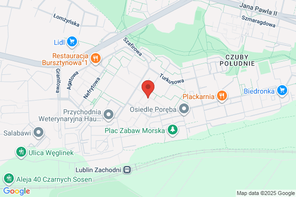 Lapciuch SC. Odziez. Budnik M., Skórska M.