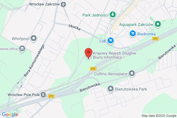 Bank Informacji Gospodarczej. PHU