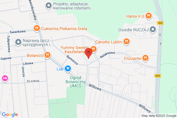 Konsultant. Licencjonowane biuro rachunkowe. Michalowska Alicja