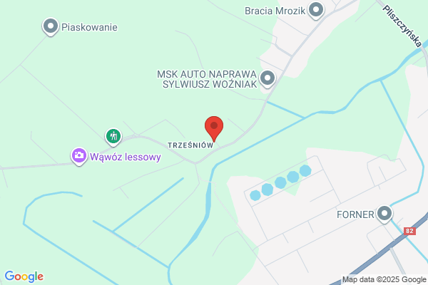 Siczek Lidia. Autohandel