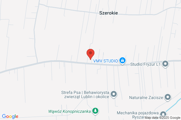 Aura Studio. Szkola Tai Chi. Sykala M.