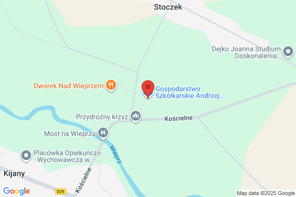 Krzysiak Andrzej. Szkólkarstwo - sprzedaz