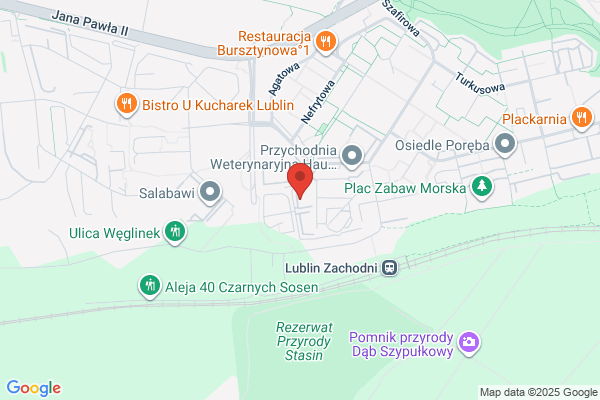 Raczkiewicz-Piadlowska Beata. Tlumacz przysiegly jez. angielskiego