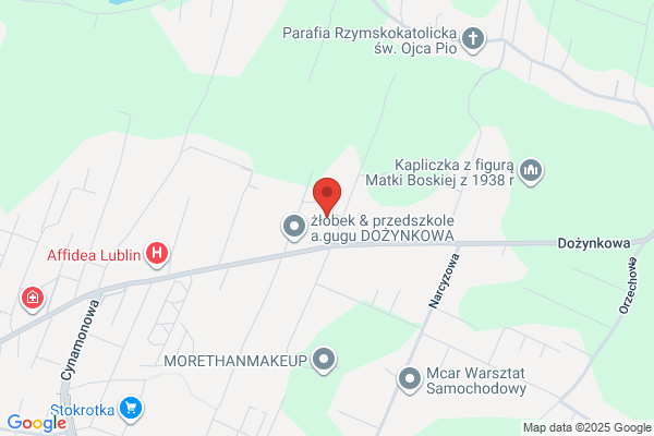Madrex. S.j. Uslugi transportowe. Przewóz towarów