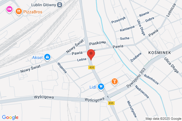 Pyzik Jacek. Lecznica dla zwierzat