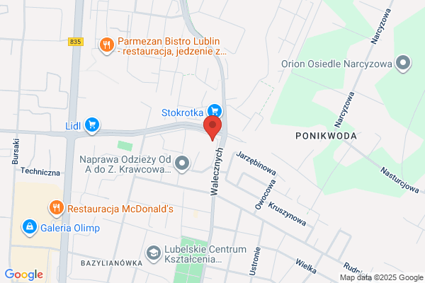 Vigor. Gabinet weterynaryjny dla malych zwierzat