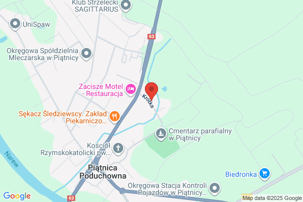 Geo-Wis SC. Uslugi geodezyjne. Wisniewski T., Syperek Z.