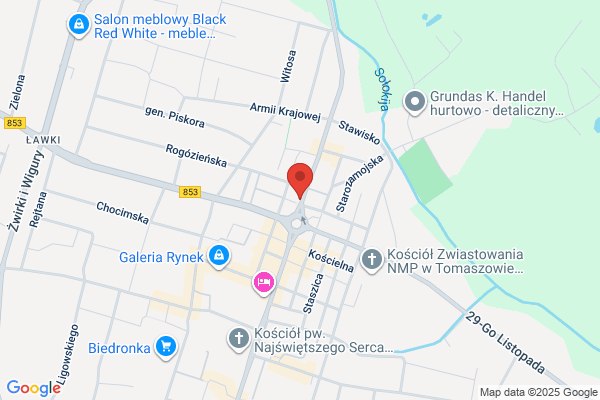 Storczyk. Kwiaciarnia. Poczta kwiatowa