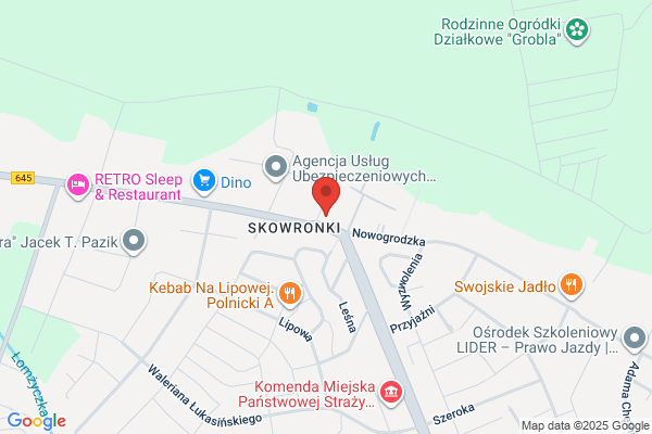El-Max. Sklep ogrodniczy. Gorzynska A.J.