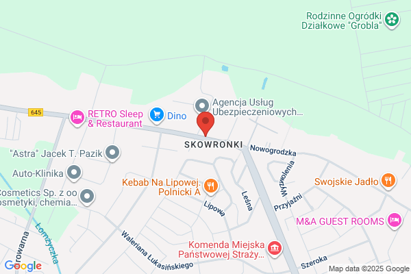 Foodexport. Baczewski J.