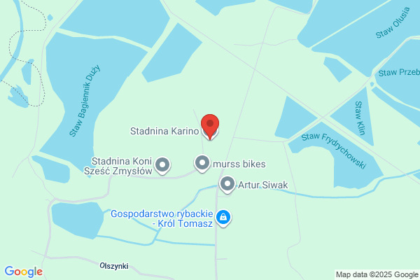 Karino. Klub jezdziecki
