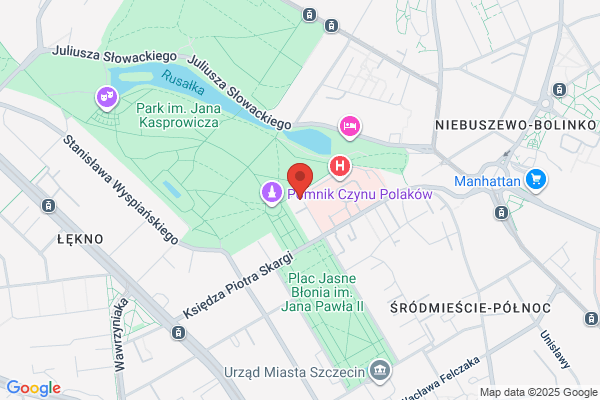 NPS. Liga Umiarkowanych Pragmatyków. Zarzad glówny