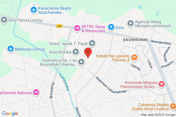 Negresko. Sp. z o.o. Hurtownia lodów, mrozonek i art. spozywczych