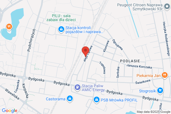Kalkor. Blacharstwo i lakiernictwo samochodowe. Kalinowski P.