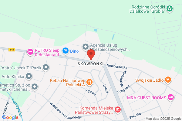 Swieczkowski T. PHU. Autohandel