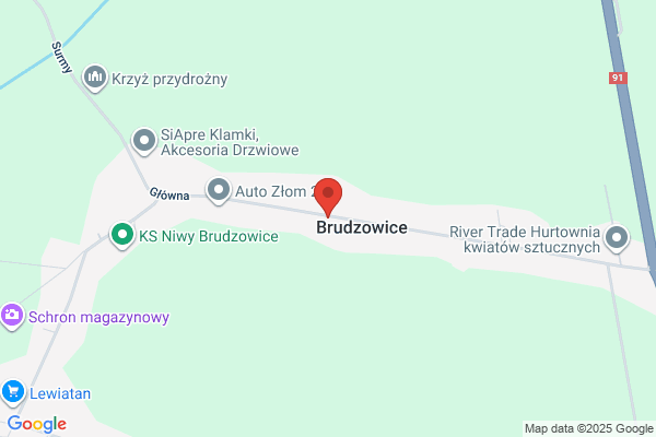 Turowska Anna. ZHU. Autokomis