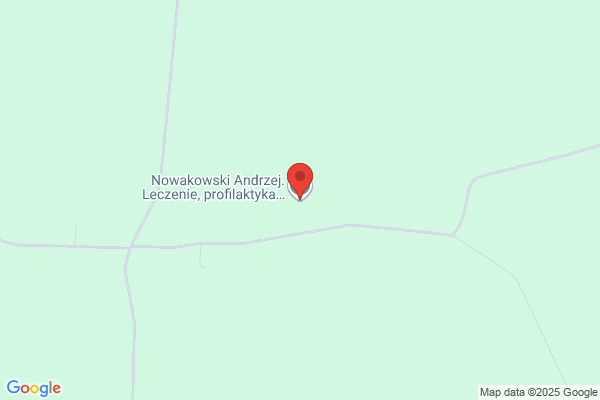 Ruminski Andrzej. Uslugi weterynaryjne